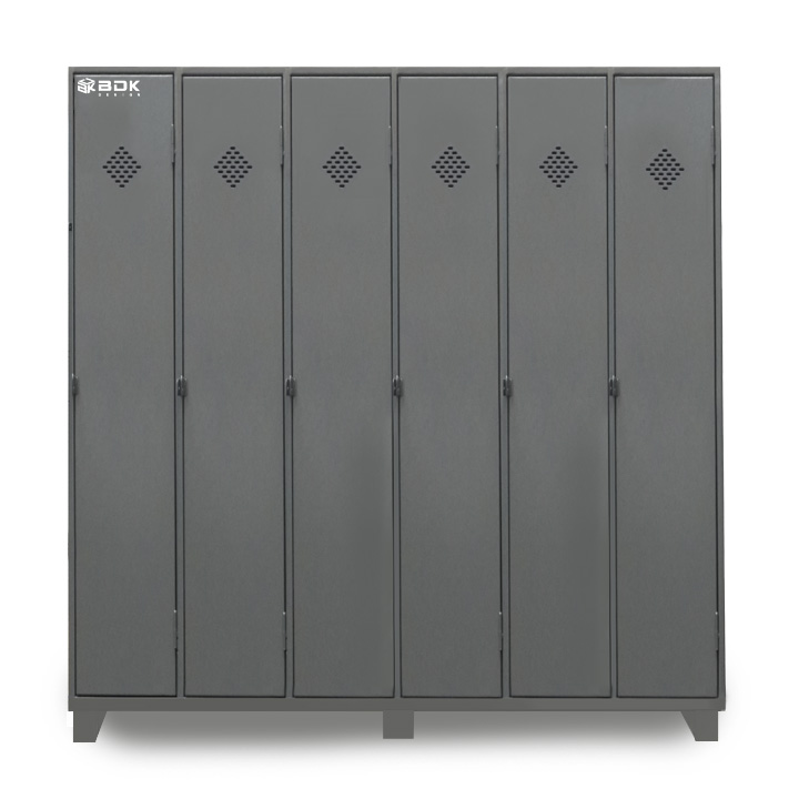 Locker de SEIS puertas largass - BIN 6PL - Marca BDK Design